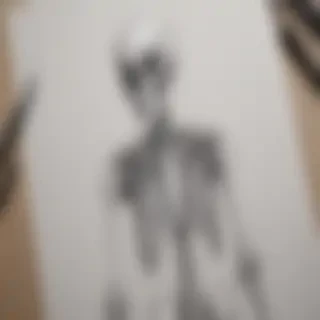creative skeleton drawing art