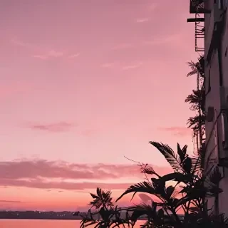 aesthetic ig story background