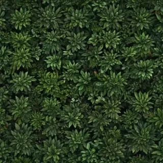 plant desktop wallpaper