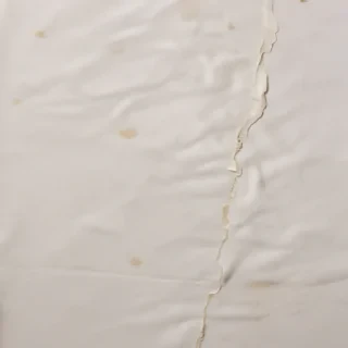 ripped paper texture