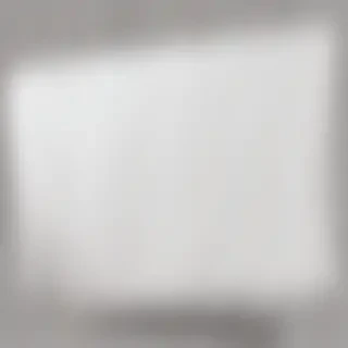 white banner png