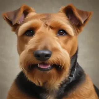 airedale terrier