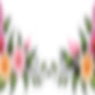 flower transparent border