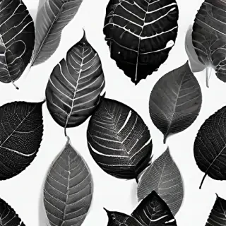 leaf white and black