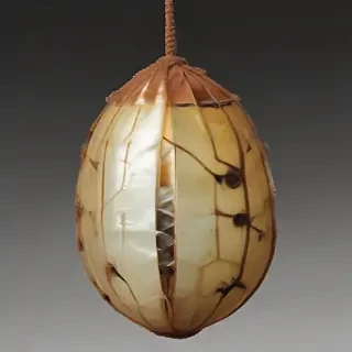 butterfly cocoon png
