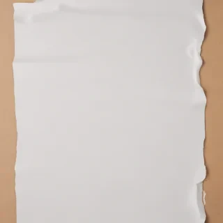 torn paper transparent