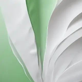 white and green background