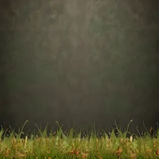 border bg