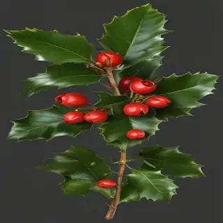 holly png