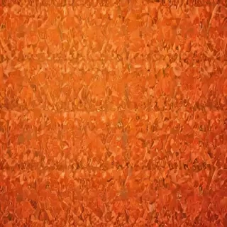 pretty orange backgrounds