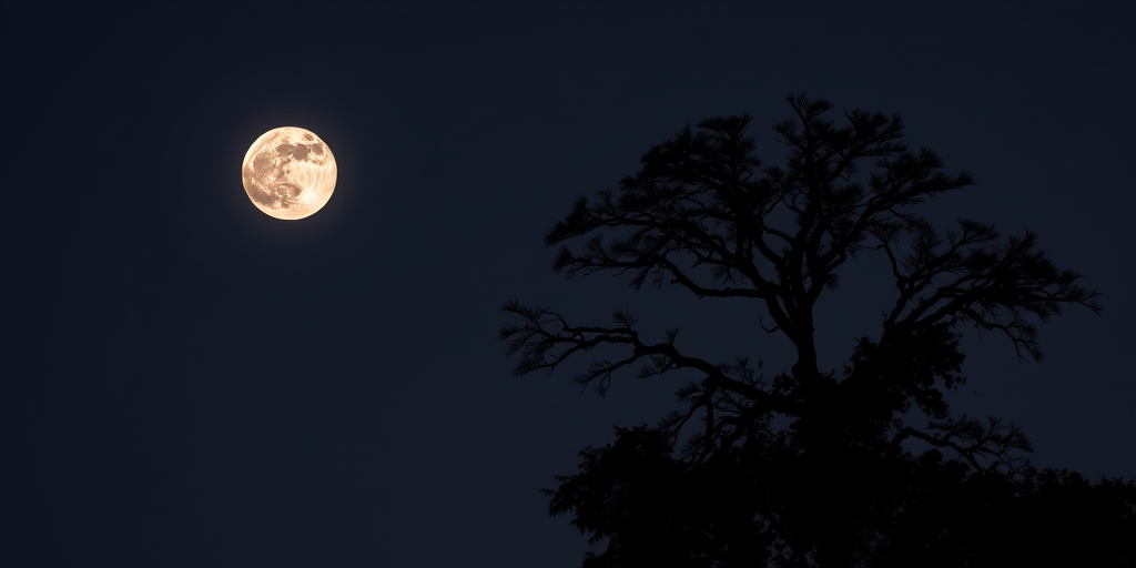 A silhouetted tree against a full moon night sky, with soft focus on moon details, ISO 200, f/8 aperture, 30 seconds exposure, wide-angle lens, shot from a low angle to emphasize tree height and moon prominence.