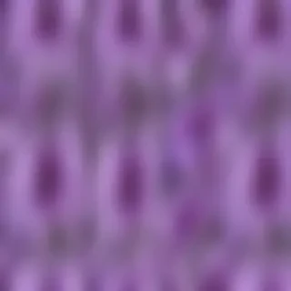 purple flowers png