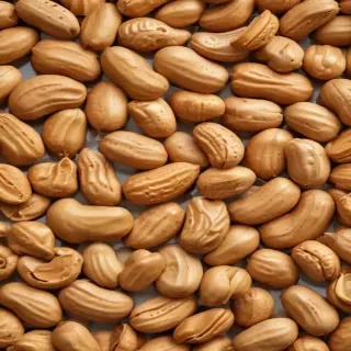 peanut png
