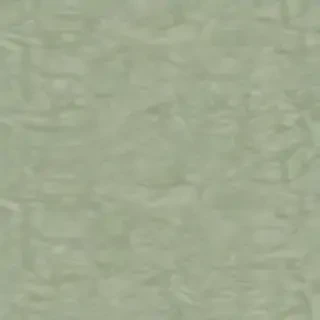 sage green bg