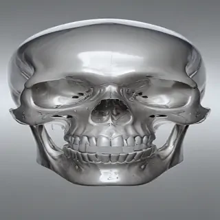 transparent skull