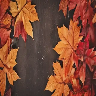iphone backgrounds fall