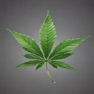marijuana leaf transparent background