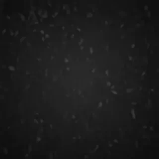 wallpaper black mobile