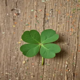 4 leaf clover