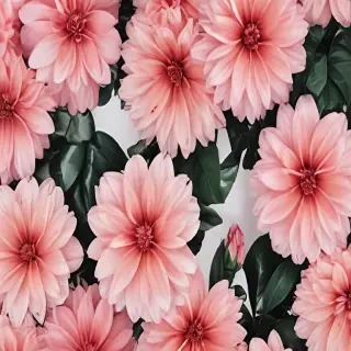 aesthetic flower background