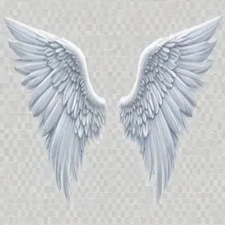 angel wings transparent background