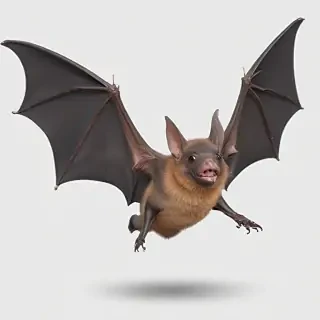 bat png