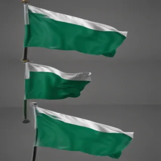 nigeria flag png