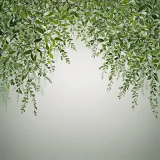 background white and green