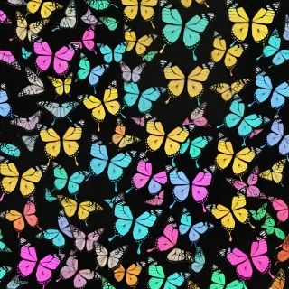 butterfly wallpaper for computer