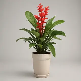 potted plant png