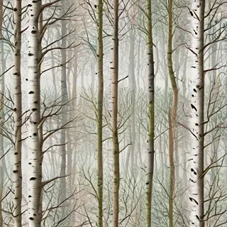 trees transparent