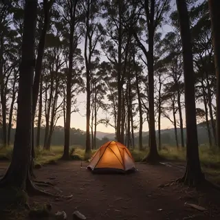 camping png