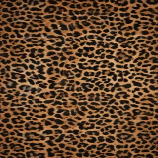 leopard print png
