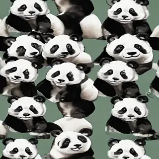 panda background