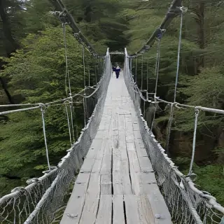 suspension bridge