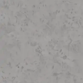gray aesthetic wallpapers
