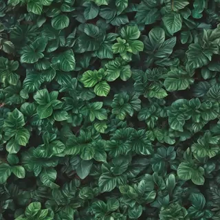 plants background iphone