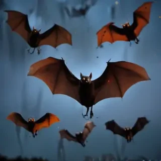halloween bats images