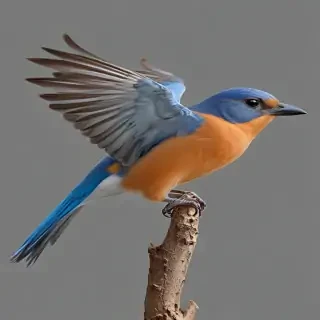 bird pngs