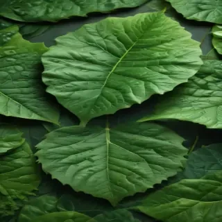 green leaf design