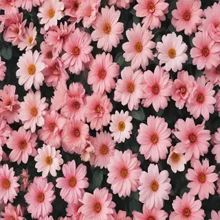 cute flower wallpaper aesthetic