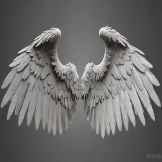 angel wings png