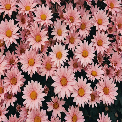 aesthetic backgrounds flowers
