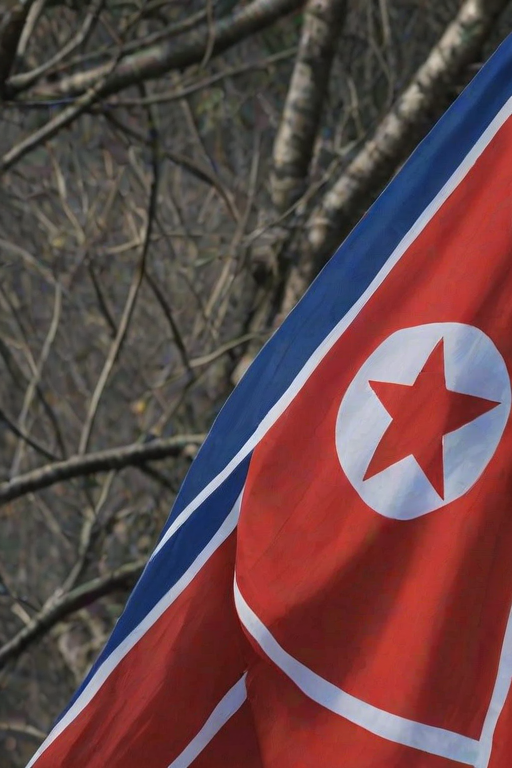 north korea flag