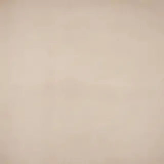 canvas texture overlay