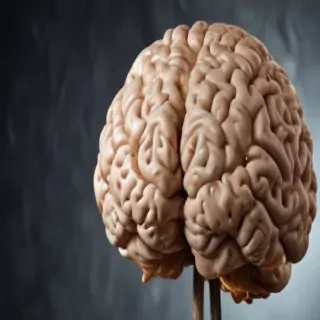 brain background