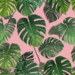 monstera background