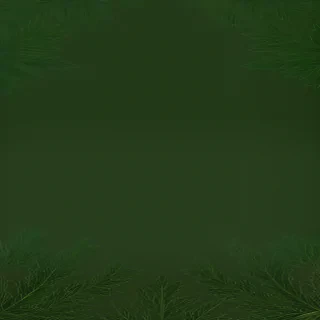 green christmas wallpaper