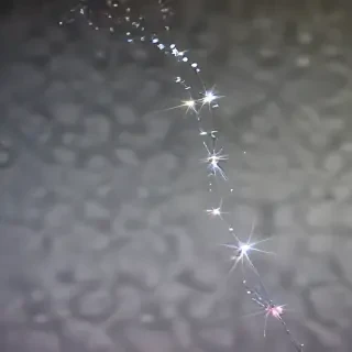 sparkles transparent