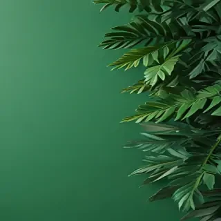 aesthetic green background
